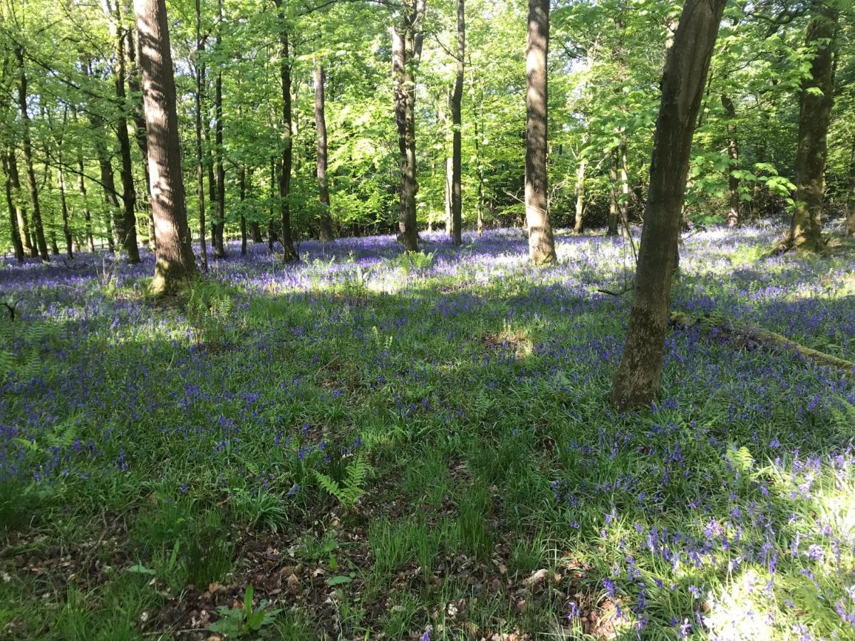 אינגלטון Ingledale Apartment, Ingleton, Yorkshire Dales National Park, Famous Three Peaks, Near The Lake District, Pets Are Welcome מראה חיצוני תמונה